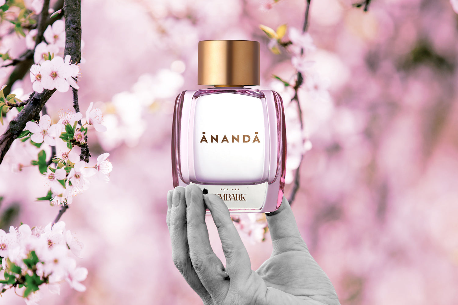 How to Choose Your Perfume Palette for Changing Seasons