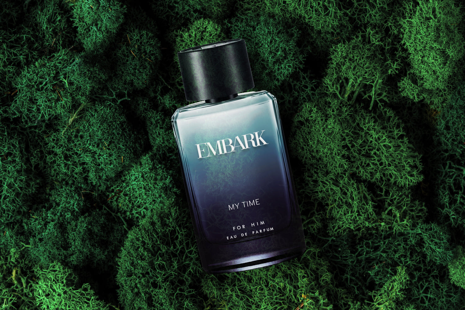 The Art of Allure: Oak Moss’s Sharp and Sensual Appeal