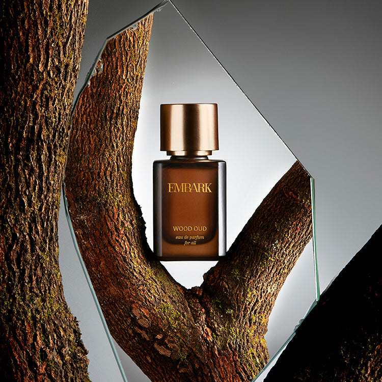 Best Perfume Notes for Indian Winter: